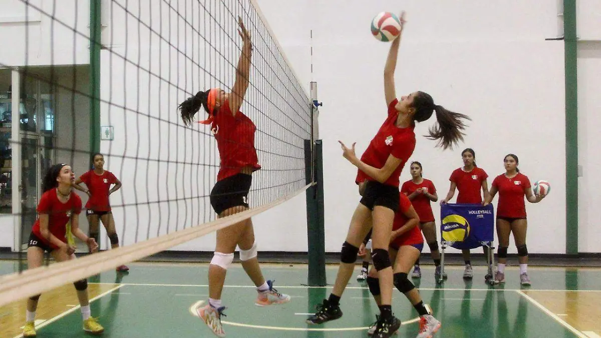 VOLEIBOL (4)